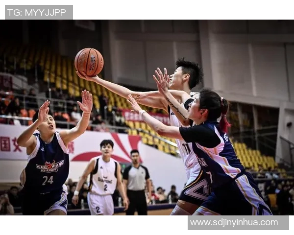 2015年CBA常规赛精彩对决广东队与稠州队的巅峰较量回顾